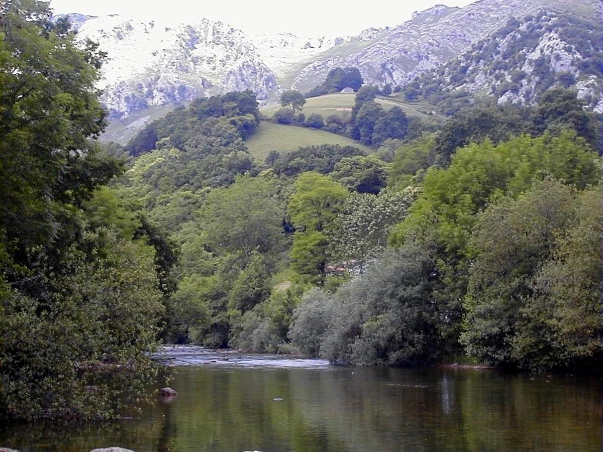 Apto Rio Ason, Desconexion Total Con Piscina Y Vistas Espectaculares Gibaja ภายนอก รูปภาพ